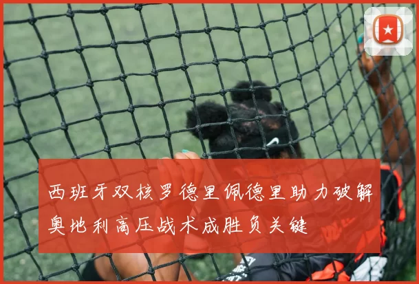 西班牙双核罗德里佩德里助力破解奥地利高压战术成胜负关键